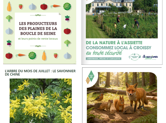 actualites-131